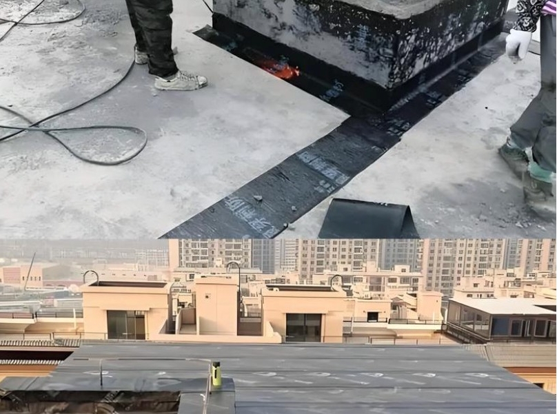 63694627.png 图1.png